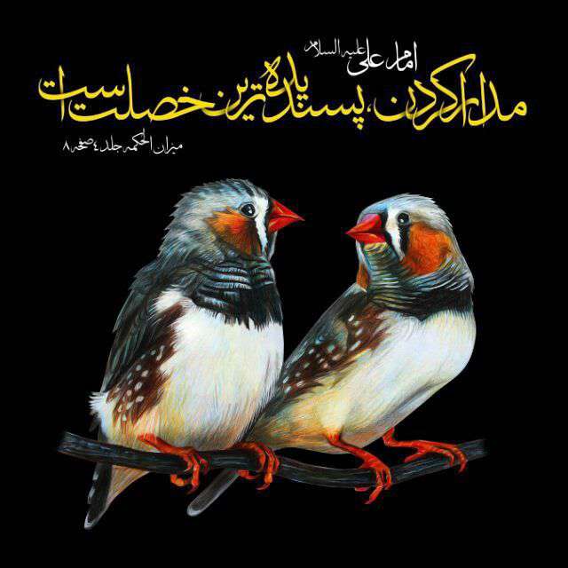 حدیثی از امام علی در مورد مدارا کردن